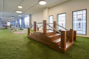 inside view of nido early school at ascot vale