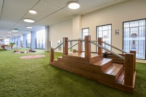 a beautiful inside view of nido early school at ascot vale